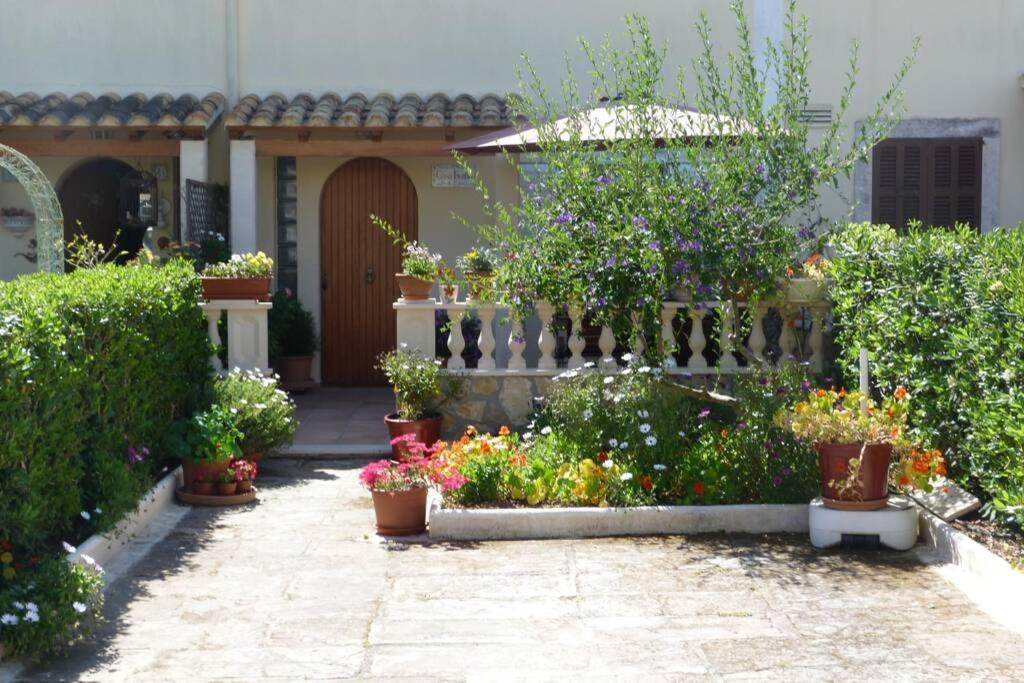 Casa Paraiso Sa Coma  Exteriör bild